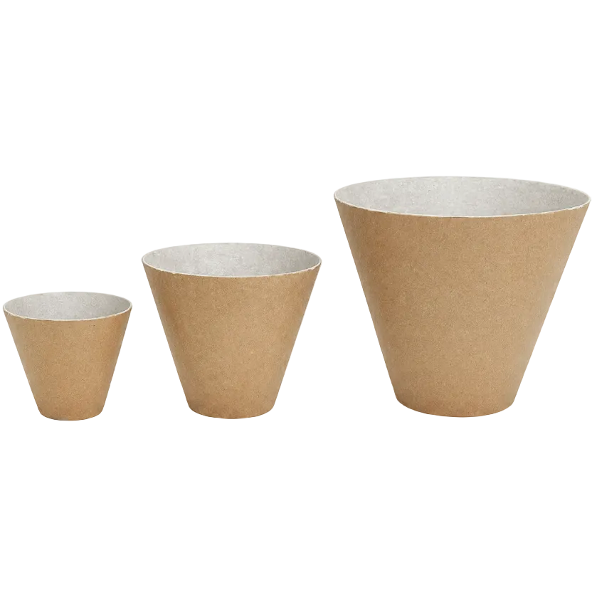 3 Shell Lift Cups