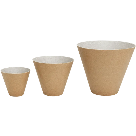 3 Shell Lift Cups